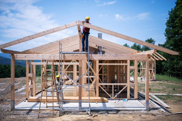 Best New Roof Installation  in Collins, MS
