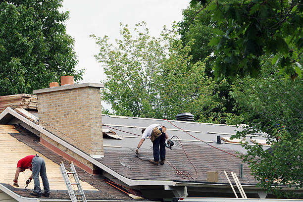 Best Gutter Installation and Roofing  in Collins, MS
