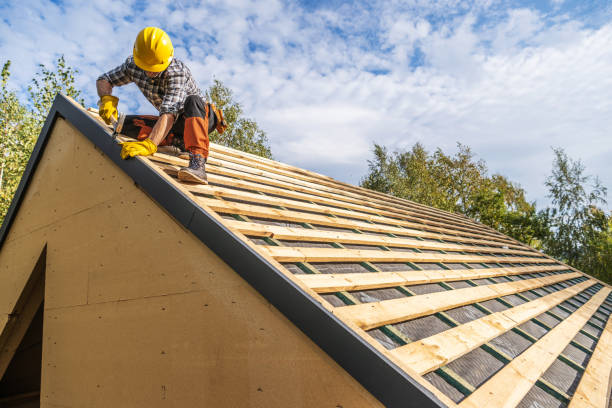 Best Roof Restoration Services  in Collins, MS