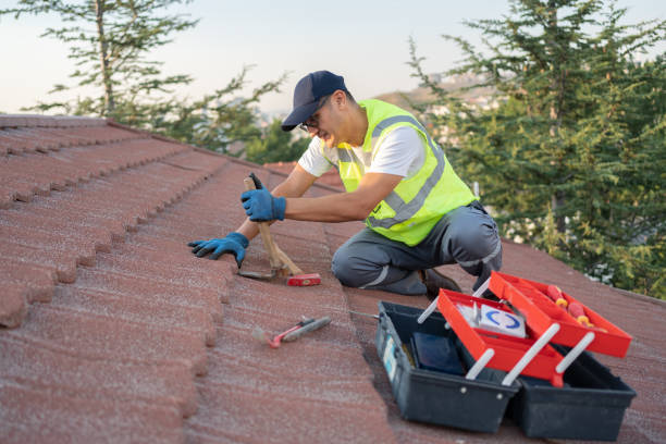 Best Roof Gutter Cleaning  in Collins, MS